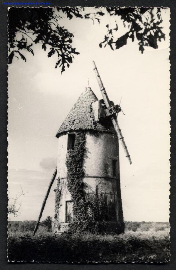 Moulin A Vent Le Champ Du Trail Villa Saint-Cyr-des-Gats Luaran gambar