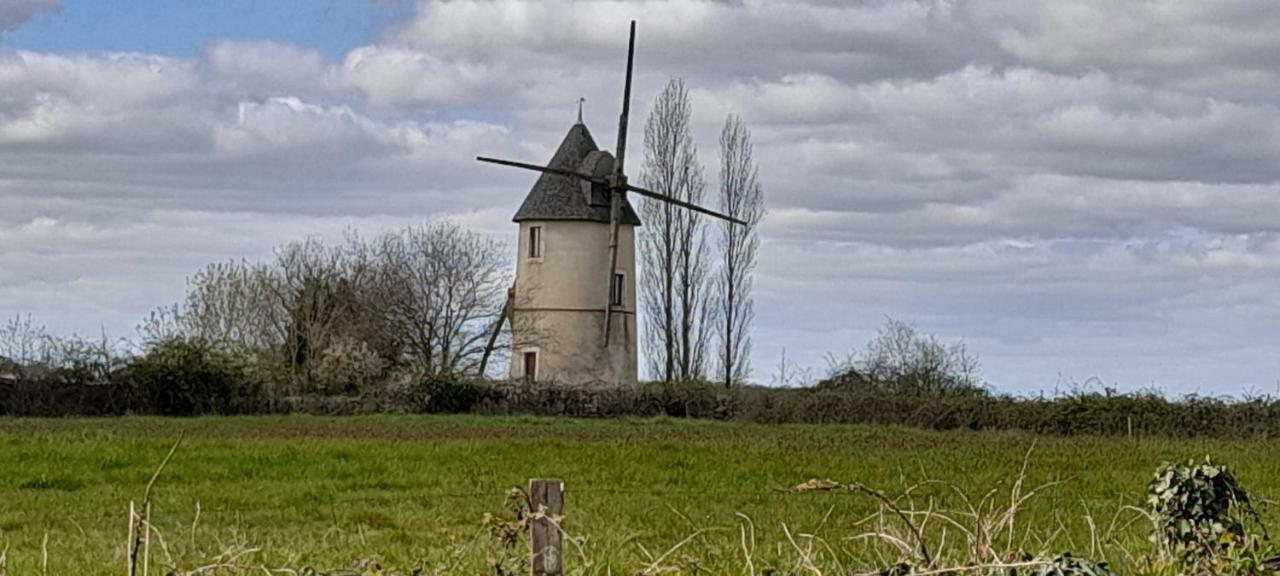 Moulin A Vent Le Champ Du Trail Villa Saint-Cyr-des-Gats Luaran gambar